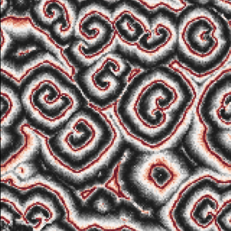 image from Dr. Fibryll & Mr. Glyde